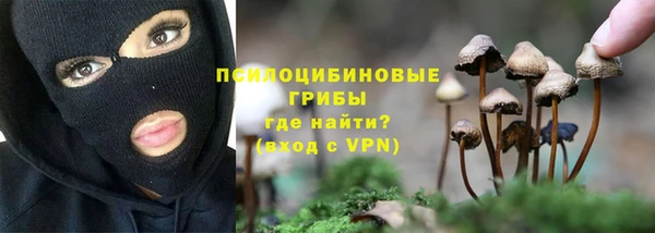 хмурый Армянск