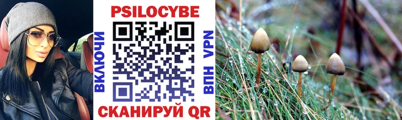 Галлюциногенные грибы Cubensis Венёв